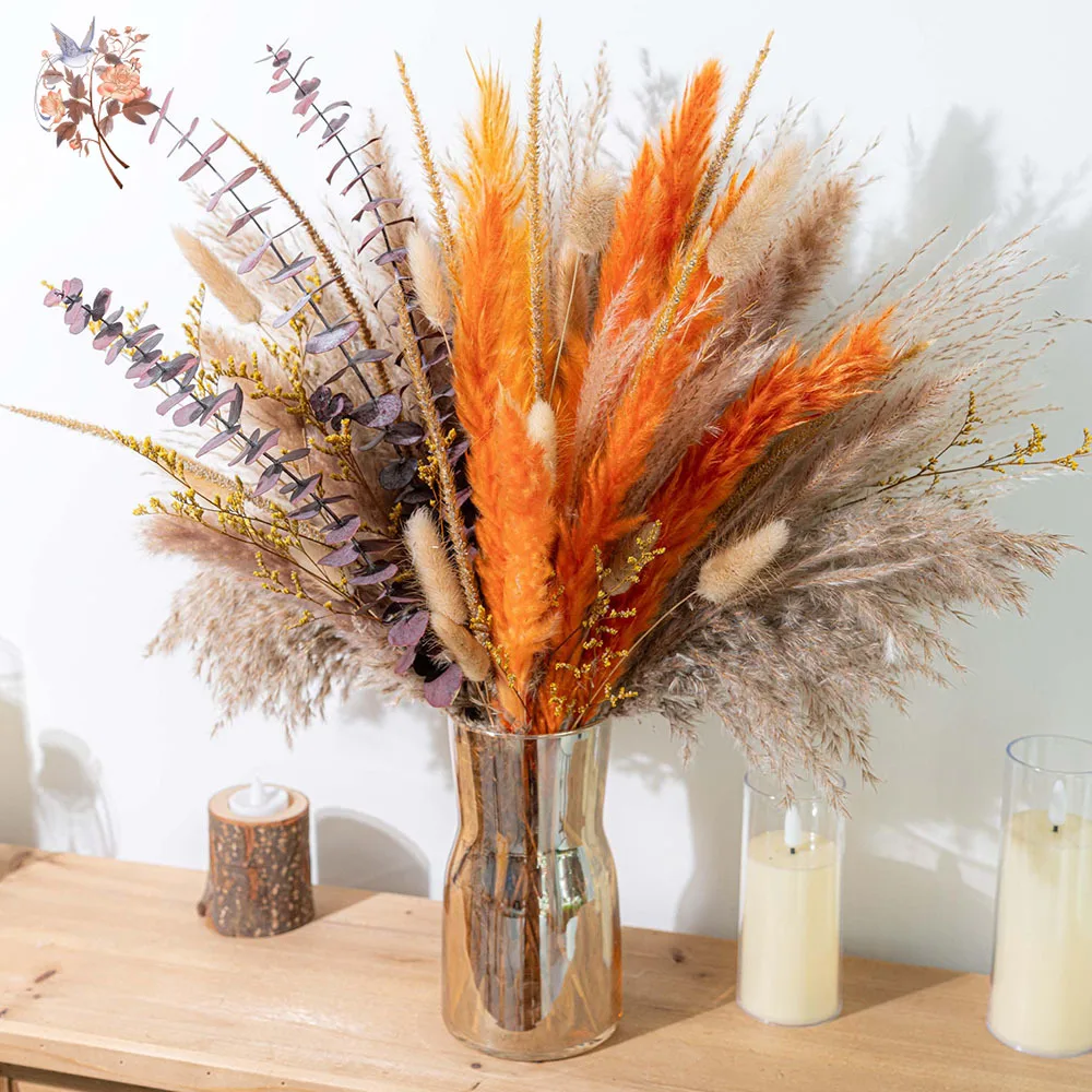 60pcs Orange Pampas Grass Drie - Eucalyptus Preserved 评论和价格