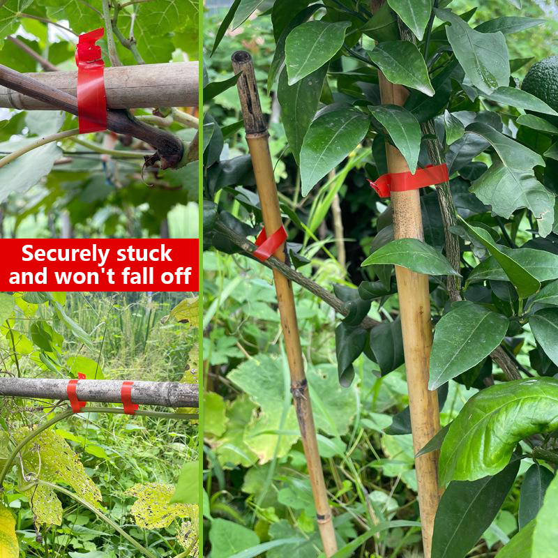 Household Garden Plant Tying T - Florist Supply Bulk 评论和价格