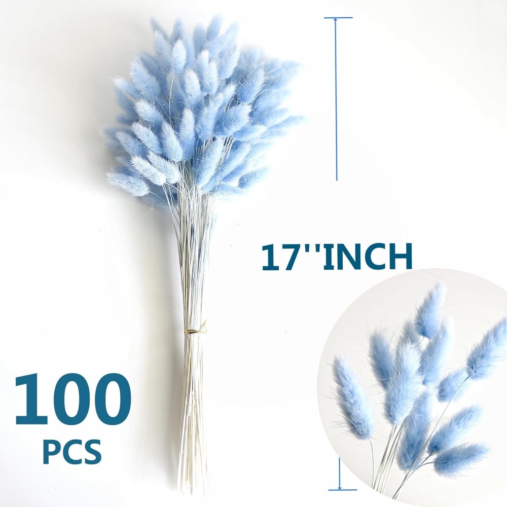 100PCS Blue Hare's-tail Grass  - Florist Supply Vases 评论和价格